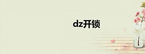 dz开锁