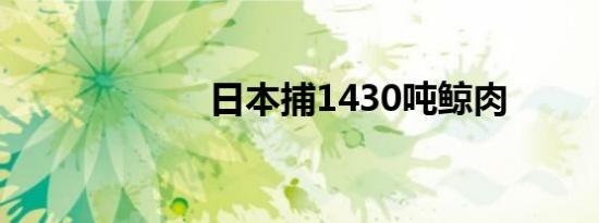 日本捕1430吨鲸肉