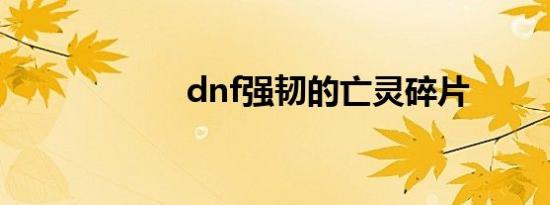 dnf强韧的亡灵碎片