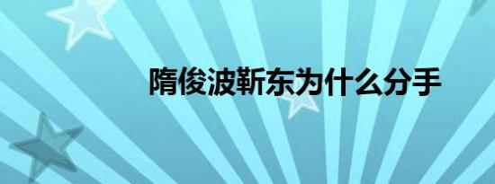 隋俊波靳东为什么分手