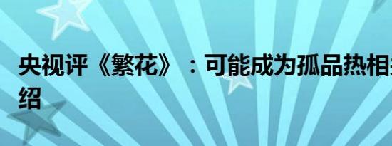 央视评《繁花》：可能成为孤品热相关内容介绍