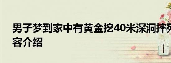 男子梦到家中有黄金挖40米深洞摔死相关内容介绍