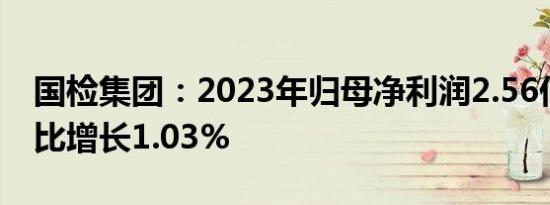 国检集团：2023年归母净利润2.56亿元，同比增长1.03%