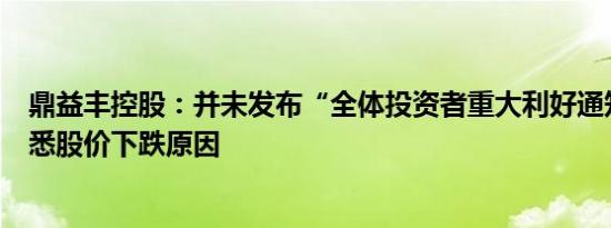 鼎益丰控股：并未发布“全体投资者重大利好通知”，不知悉股价下跌原因