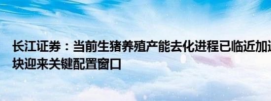 长江证券：当前生猪养殖产能去化进程已临近加速时点，板块迎来关键配置窗口