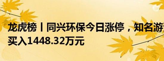 龙虎榜丨同兴环保今日涨停，知名游资孙哥净买入1448.32万元