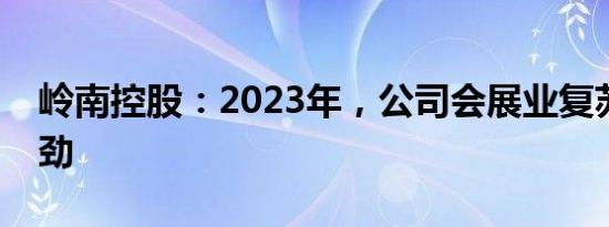 岭南控股：2023年，公司会展业复苏势头强劲