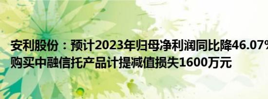 安利股份：预计2023年归母净利润同比降46.07%52.98%，购买中融信托产品计提减值损失1600万元