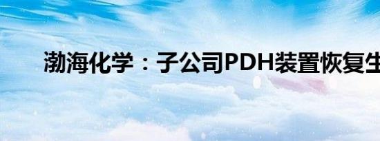 渤海化学：子公司PDH装置恢复生产