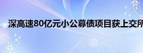 深高速80亿元小公募债项目获上交所受理