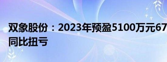 双象股份：2023年预盈5100万元6700万元，同比扭亏