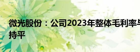 微光股份：公司2023年整体毛利率与年基本持平