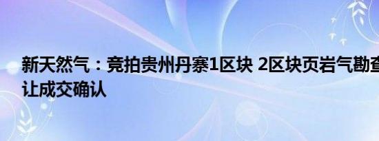 新天然气：竞拍贵州丹寨1区块 2区块页岩气勘查探矿权出让成交确认