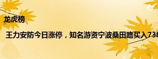 龙虎榜 | 王力安防今日涨停，知名游资宁波桑田路买入738.51万元