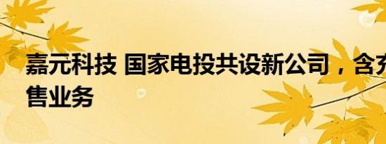 嘉元科技 国家电投共设新公司，含充电桩销售业务