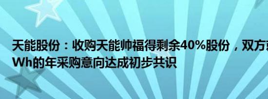 天能股份：收购天能帅福得剩余40%股份，双方就未来23GWh的年采购意向达成初步共识