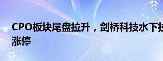 CPO板块尾盘拉升，剑桥科技水下拉升冲击涨停