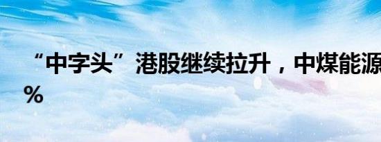 “中字头”港股继续拉升，中煤能源H股涨8%