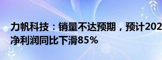 力帆科技：销量不达预期，预计2023年归母净利润同比下滑85%