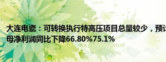 大连电瓷：可转换执行特高压项目总量较少，预计2023年归母净利润同比下降66.80%75.1%