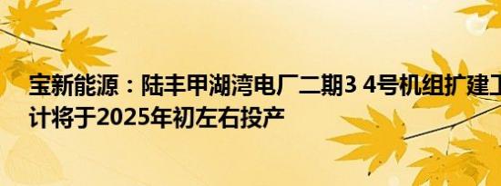 宝新能源：陆丰甲湖湾电厂二期3 4号机组扩建工程项目预计将于2025年初左右投产