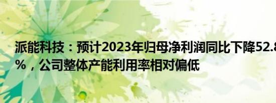 派能科技：预计2023年归母净利润同比下降52.86%60.71%，公司整体产能利用率相对偏低