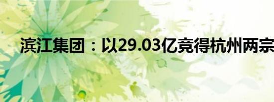 滨江集团：以29.03亿竞得杭州两宗土地