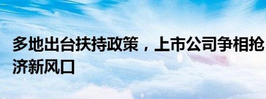 多地出台扶持政策，上市公司争相抢占低空经济新风口