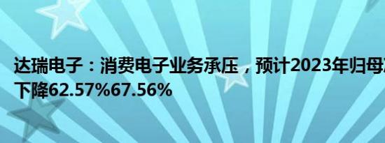 达瑞电子：消费电子业务承压，预计2023年归母净利润同比下降62.57%67.56%