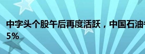 中字头个股午后再度活跃，中国石油午后涨超5%