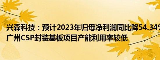 兴森科技：预计2023年归母净利润同比降54.34%60.05%，广州CSP封装基板项目产能利用率较低