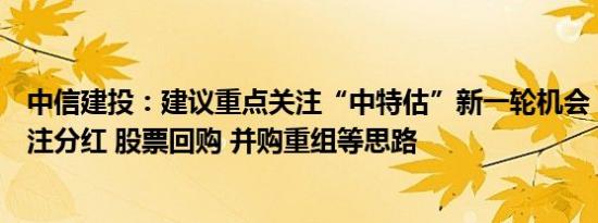 中信建投：建议重点关注“中特估”新一轮机会，策略上关注分红 股票回购 并购重组等思路