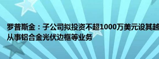 罗普斯金：子公司拟投资不超1000万美元设其越南子公司，从事铝合金光伏边框等业务