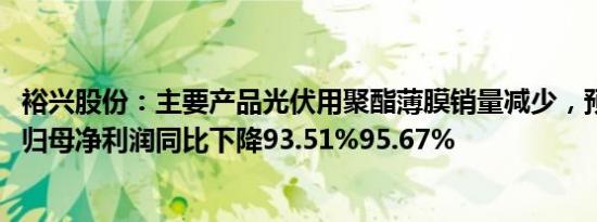 裕兴股份：主要产品光伏用聚酯薄膜销量减少，预计2023年归母净利润同比下降93.51%95.67%