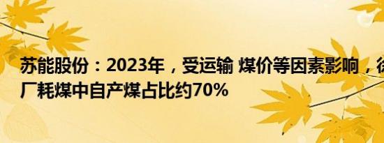 苏能股份：2023年，受运输 煤价等因素影响，徐州地区电厂耗煤中自产煤占比约70%