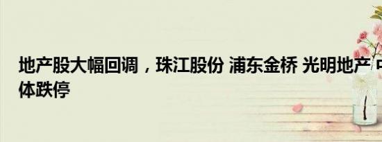 地产股大幅回调，珠江股份 浦东金桥 光明地产 中华企业集体跌停