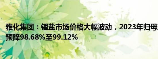 雅化集团：锂盐市场价格大幅波动，2023年归母净利润同比预降98.68%至99.12%