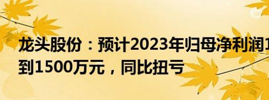 龙头股份：预计2023年归母净利润100万元到1500万元，同比扭亏