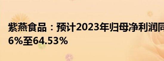 紫燕食品：预计2023年归母净利润同比增45.6%至64.53%