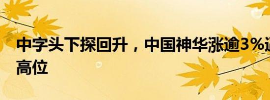 中字头下探回升，中国神华涨逾3%逼近历史高位