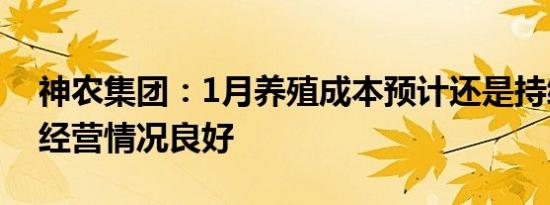 神农集团：1月养殖成本预计还是持续下降，经营情况良好