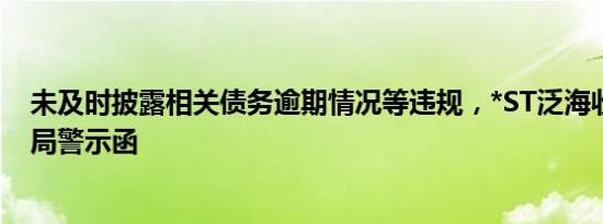 未及时披露相关债务逾期情况等违规，*ST泛海收北京证监局警示函