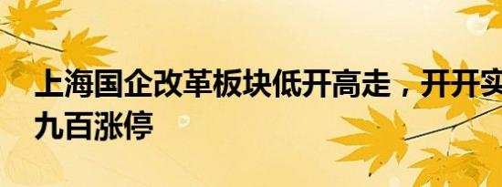 上海国企改革板块低开高走，开开实业 上海九百涨停