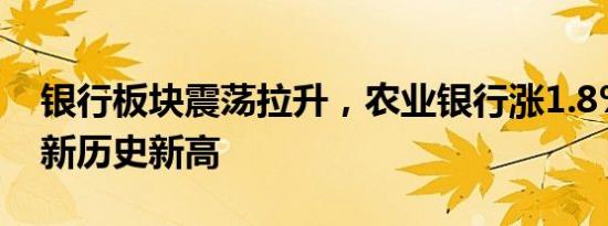 银行板块震荡拉升，农业银行涨1.8%再度刷新历史新高