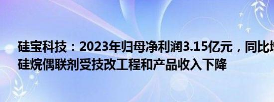 硅宝科技：2023年归母净利润3.15亿元，同比增25.9%，硅烷偶联剂受技改工程和产品收入下降