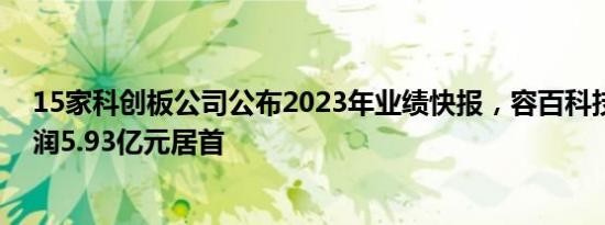 15家科创板公司公布2023年业绩快报，容百科技归母净利润5.93亿元居首