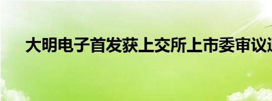 大明电子首发获上交所上市委审议通过