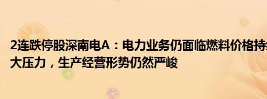 2连跌停股深南电A：电力业务仍面临燃料价格持续高企的巨大压力，生产经营形势仍然严峻