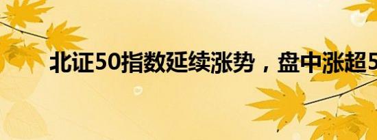 北证50指数延续涨势，盘中涨超5%