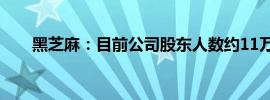 黑芝麻：目前公司股东人数约11万户